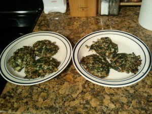 chichen-leftovers-recipe-04-300x225